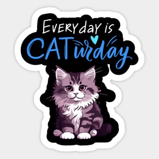 Everyday Is Caturday Quote For Cat Lovers Sticker